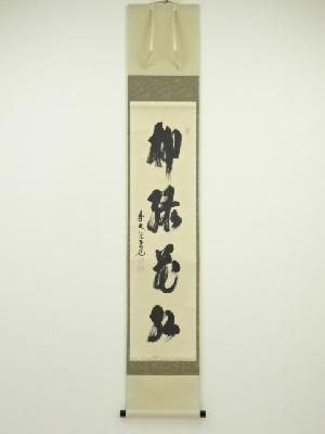 前大徳須賀玄道筆　「柳緑花紅」一行書　肉筆紙本掛軸（共箱）